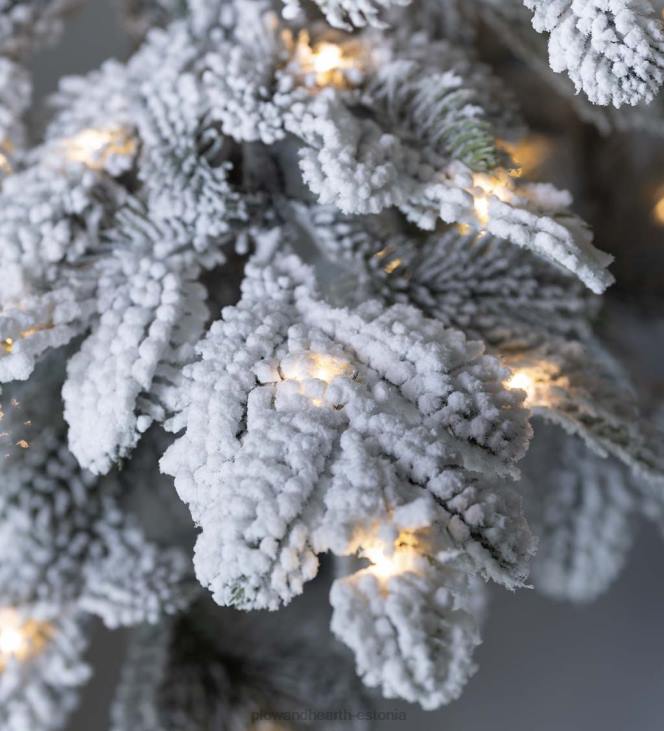 hooajalised ja kingitused 820L3232 6' monte rosa flokeeritud alpi kuuse jõulupuu 150 sooja valge LED-iga Plow & Hearth