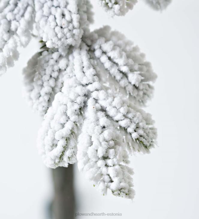 hooajalised ja kingitused 820L3232 6' monte rosa flokeeritud alpi kuuse jõulupuu 150 sooja valge LED-iga Plow & Hearth