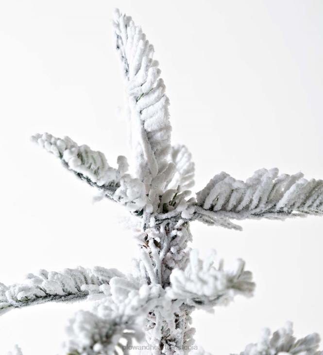 hooajalised ja kingitused 820L3232 6' monte rosa flokeeritud alpi kuuse jõulupuu 150 sooja valge LED-iga Plow & Hearth