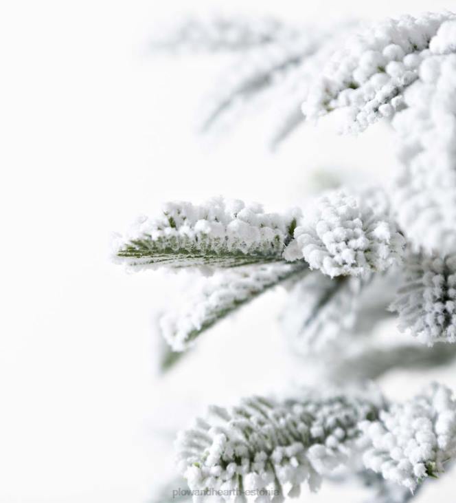 hooajalised ja kingitused 820L3232 6' monte rosa flokeeritud alpi kuuse jõulupuu 150 sooja valge LED-iga Plow & Hearth