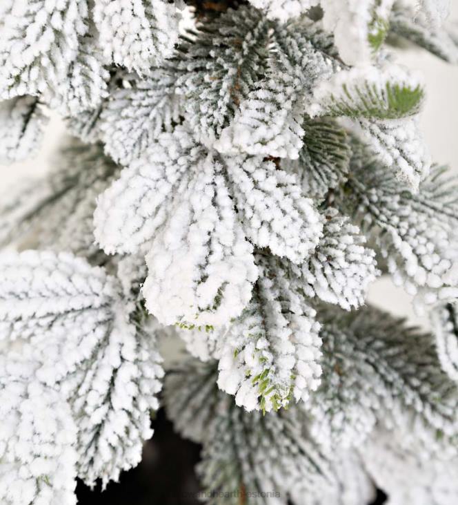 hooajalised ja kingitused 820L2260 monte rosa flokeeritud alpi kuuse lauapuu Plow & Hearth