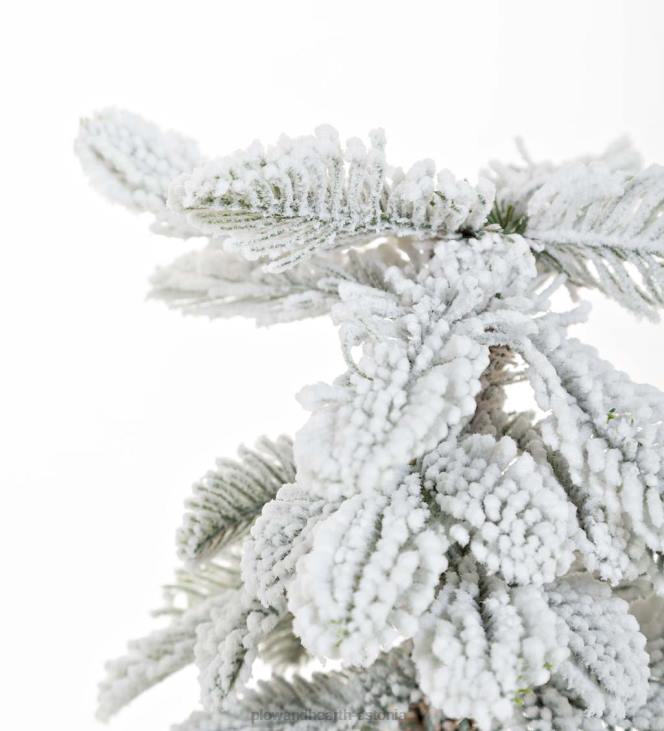 hooajalised ja kingitused 820L2260 monte rosa flokeeritud alpi kuuse lauapuu Plow & Hearth