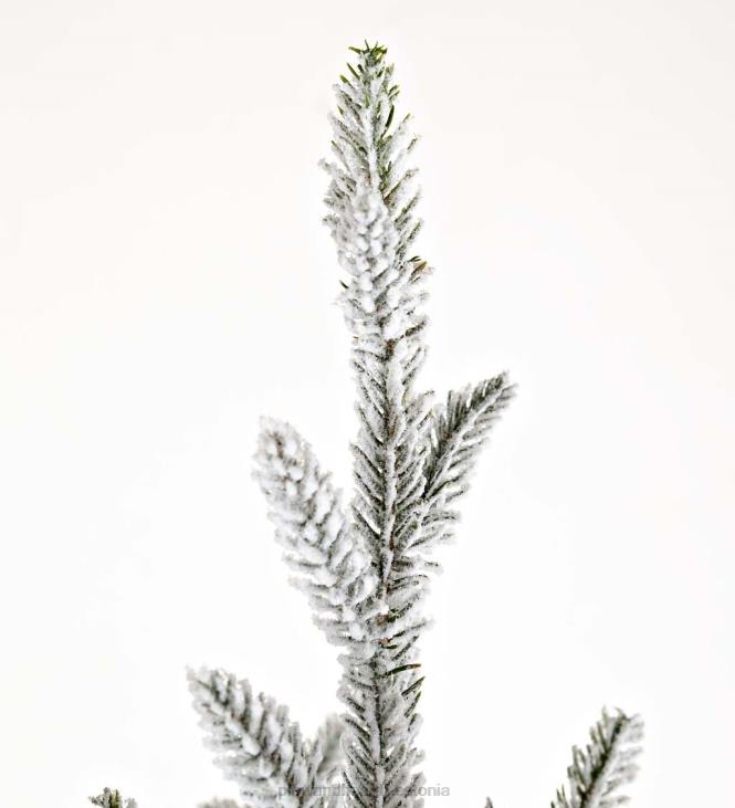 hooajalised ja kingitused 820L2289 flokeeritud roanoke kuuse jõulupuu Plow & Hearth