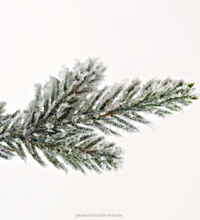 hooajalised ja kingitused 820L2289 flokeeritud roanoke kuuse jõulupuu Plow & Hearth