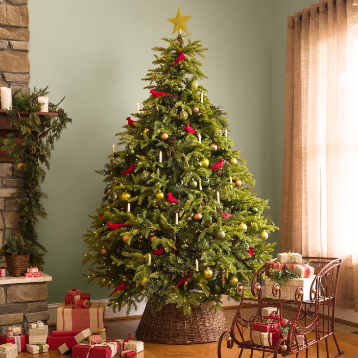 hooajalised ja kingitused 820L2139 klambriga kardinalised jõulupuuehted, komplektis 4 Plow & Hearth