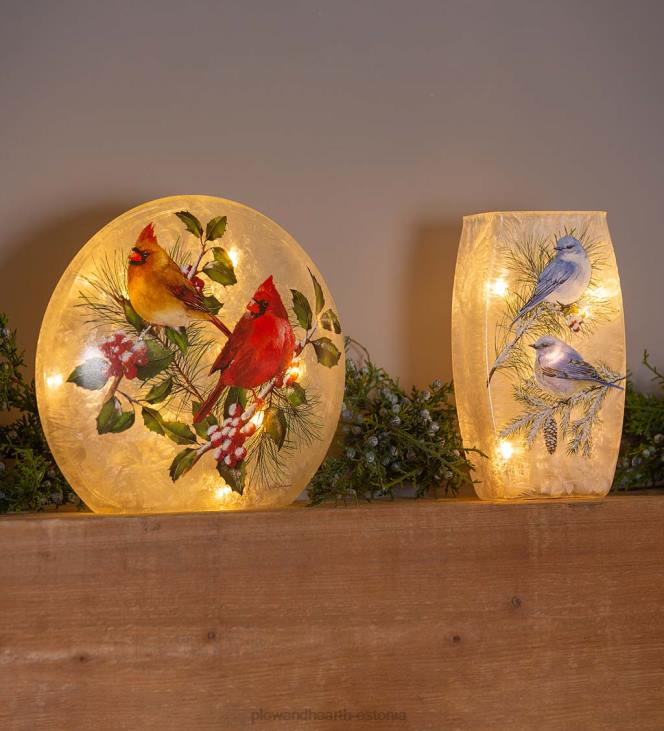 hooajalised ja kingitused 820L2144 talvekardinalid mattklaasist aktsentvalgus Plow & Hearth