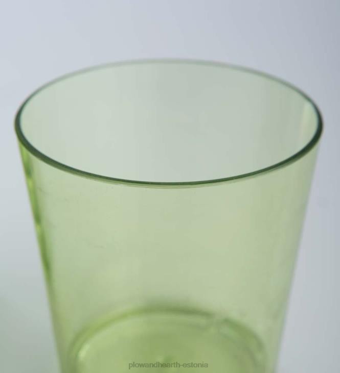 hooajalised ja kingitused 820L3147 samblaroheline akrüül lühike 15 untsi. klaasid, komplektis 6 Plow & Hearth