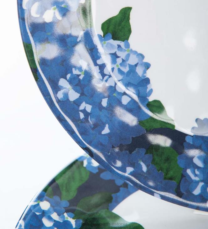 hooajalised ja kingitused 820L3123 hortensia melamiinist salatitaldrikud, komplektis 6 - hortensia Plow & Hearth