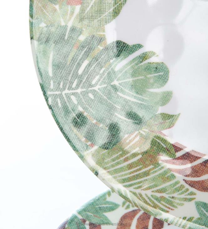 hooajalised ja kingitused 820L3203 Tradewinds melamiinist salatitaldrikud, komplektis 6 - traatewinds Plow & Hearth