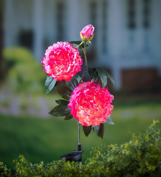 hoov & aed 820L153 tumeroosa pojeng päikeseaia vaias Plow & Hearth