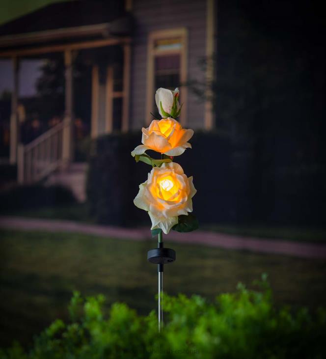 hoov & aed 820L245 kollase roosi päikeseaia vaia Plow & Hearth