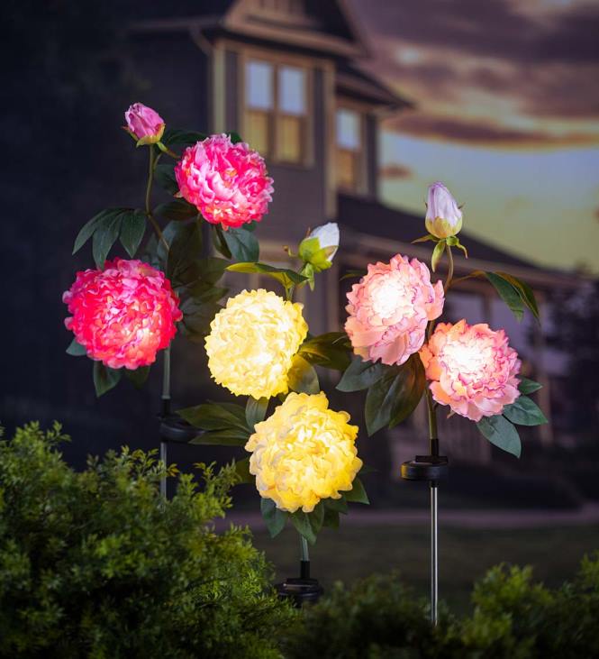 hoov & aed 820L257 heleroosa pojeng päikeseaia vaias Plow & Hearth