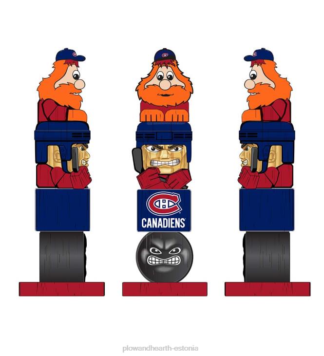 hoov & aed 820L408 nhl hokimeeskonna aiakuju – fööniksi koiotid Plow & Hearth