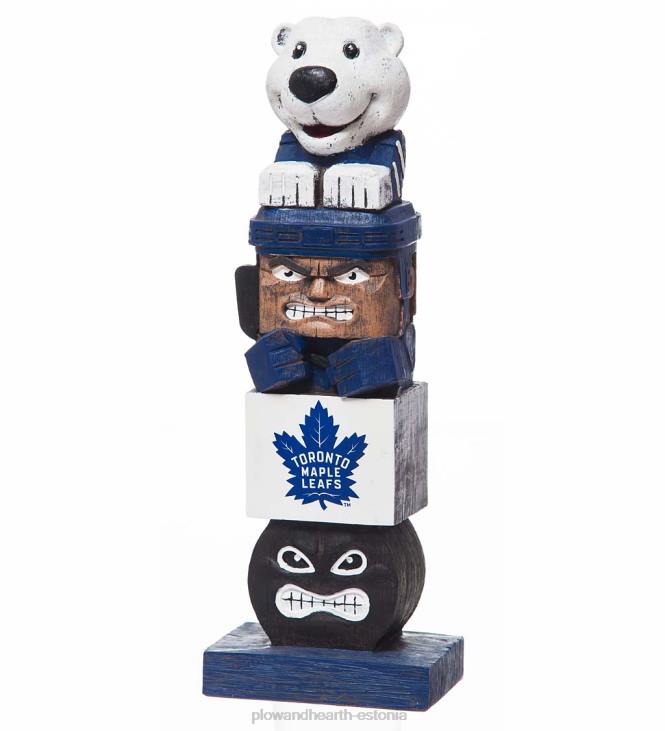 hoov & aed 820L408 nhl hokimeeskonna aiakuju – fööniksi koiotid Plow & Hearth