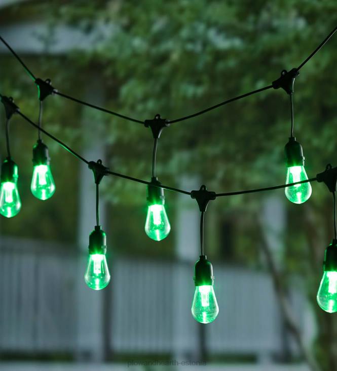 hoov & aed 820L409 päikese mitmevärvilised tuled Plow & Hearth