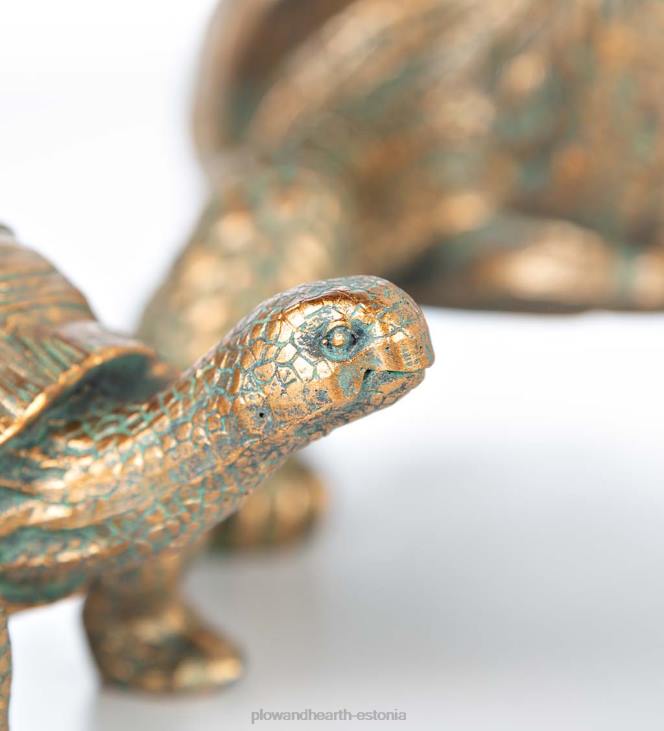 hoov & aed 820L71 kilpkonna perekond vaiguaia aktsendid Plow & Hearth