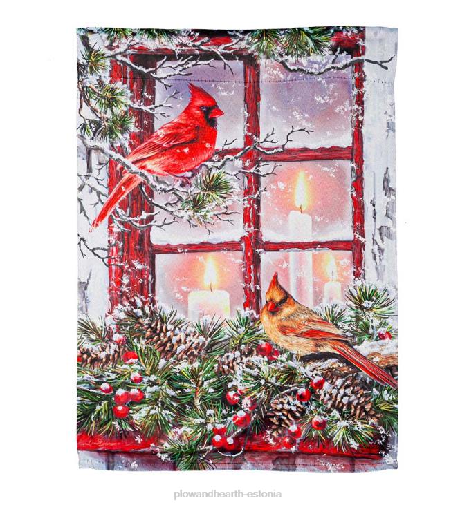 hoov & aed 820L56 kardinalid aknas seemisnahast aialipp Plow & Hearth