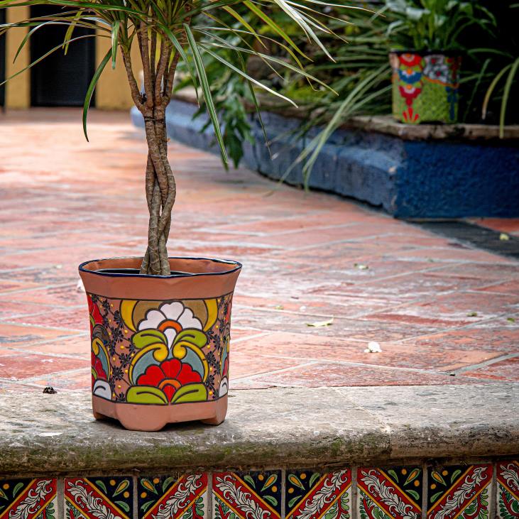 hoov & aed 820L957 keskmise kaheksanurkne talavera lillevaas Plow & Hearth