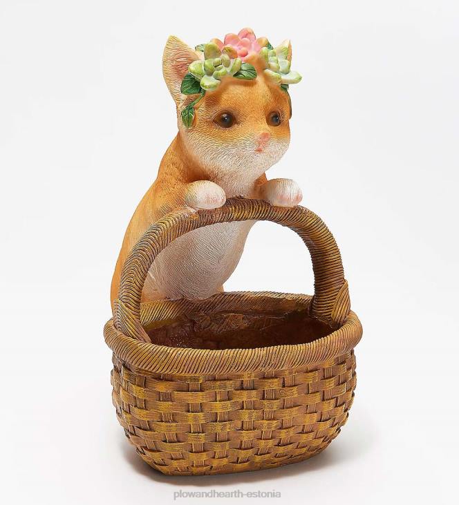 hoov & aed 820L996 õnnelik abimees korv mahlakas istutaja - siga Plow & Hearth