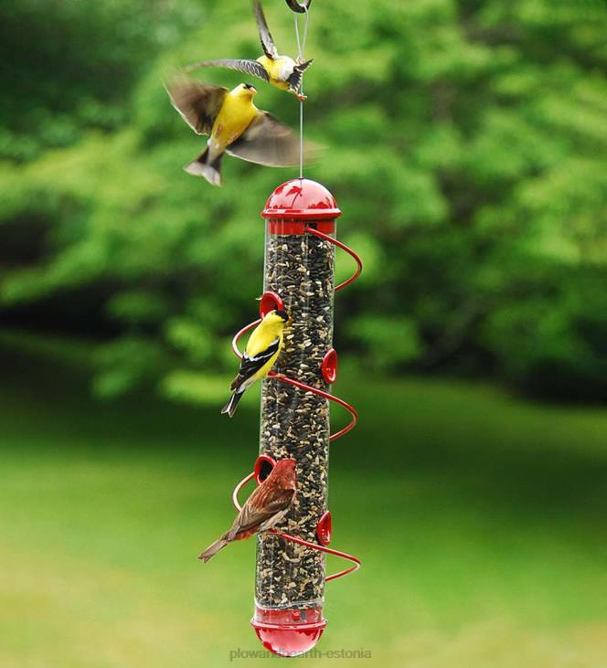 hoov & aed 820L3028 punane spiraal-ahvenavindi linnusöötja - punane Plow & Hearth