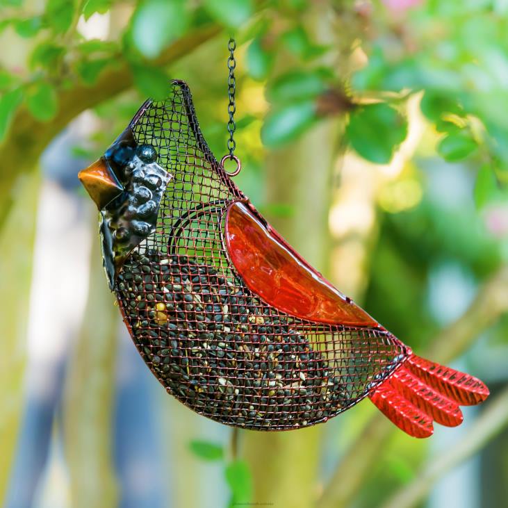 hoov & aed 820L734 klaasist kardinal rippvõrgust linnusöötja Plow & Hearth