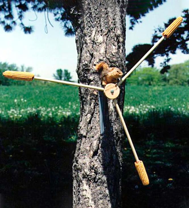 hoov & aed 820L740 orav-keeris keerlev orava söötja Plow & Hearth