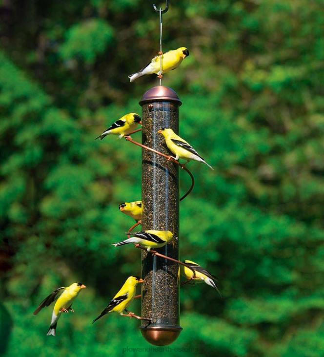 hoov & aed 820L758 vasevärvi spiraal-ahvena vintlindude toitja - vask Plow & Hearth