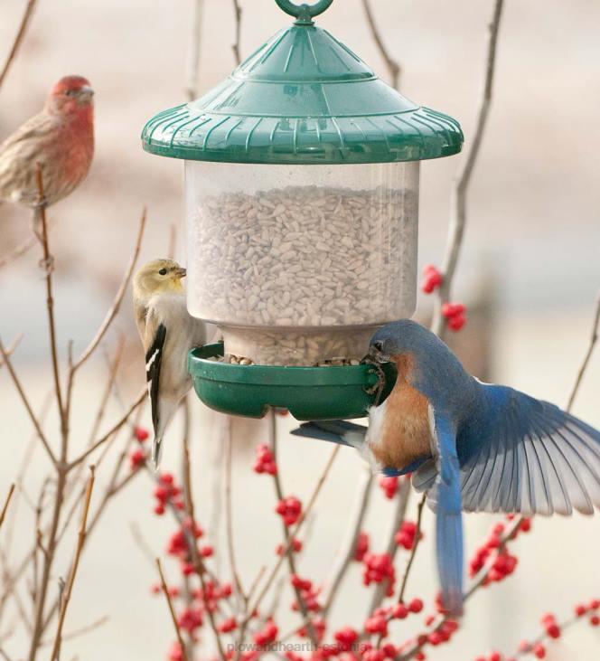 hoov & aed 820L765 kleepuv ripplindude toitja - punane Plow & Hearth