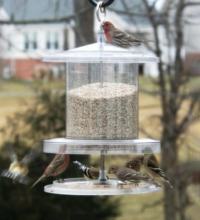 hoov & aed 820L768 iga ilmaga 6-kvartine selge söötja Plow & Hearth