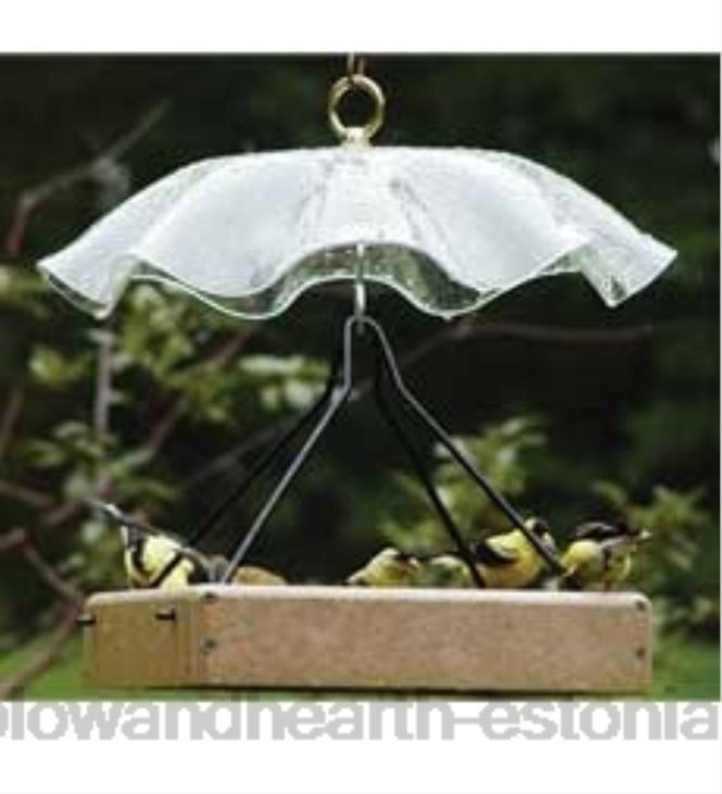 hoov & aed 820L771 läbipaistvast akrüülist rippuv ilmakaitse vihmavari lindude toitja jaoks Plow & Hearth