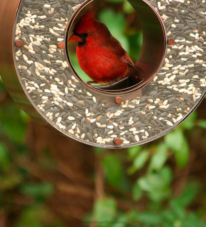 hoov & aed 820L799 vasest pisaratilga lindude toitja Plow & Hearth