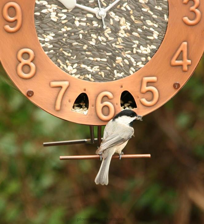 hoov & aed 820L821 vasest ja pleksiklaasist kella motiiviga linnutoitja Plow & Hearth