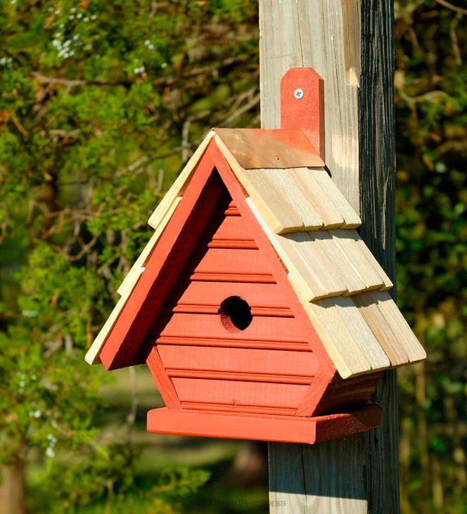 hoov & aed 820L866 šikk tibu linnumaja - mustikas Plow & Hearth