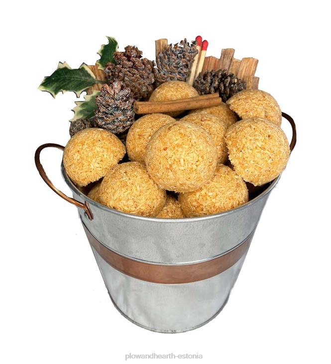 kamin 820L2709 tulekäituri kinkekomplekt tsingitud ämbris Plow & Hearth