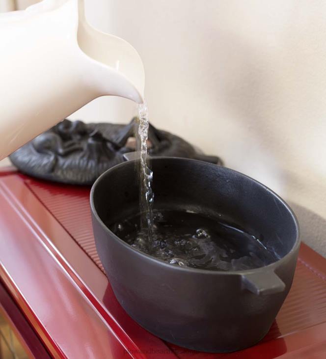 tarvikud 820L2836 malmist koerapuu ahjuauruti - must Plow & Hearth