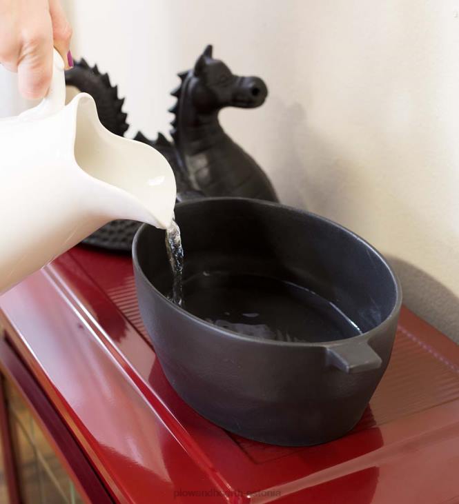 tarvikud 820L2837 draakon puupliit malmist auruti - must Plow & Hearth