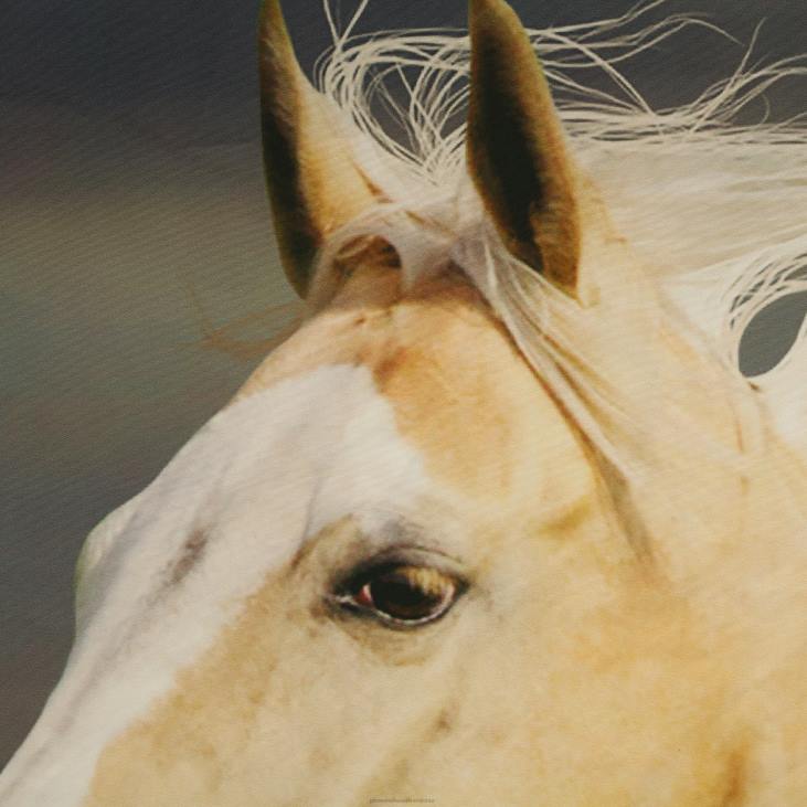 majatarbed 820L2592 Loodusest inspireeritud fotoreaalsed varrastega taskukardinapaneelid – karu stseen – 52 x 84 Plow & Hearth