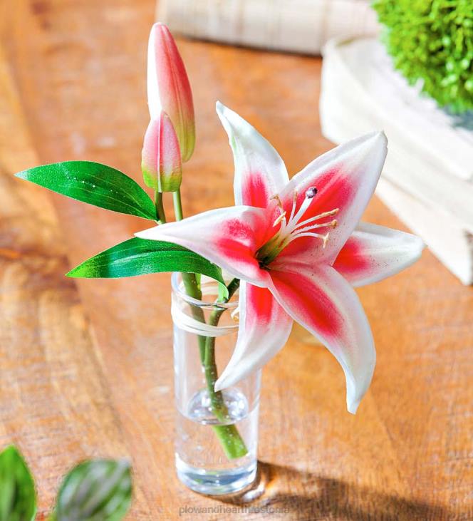 majatarbed 820L2361 näeb ehtne välja tundub tõelise tähevaatleja liiliad, komplektis 3 Plow & Hearth