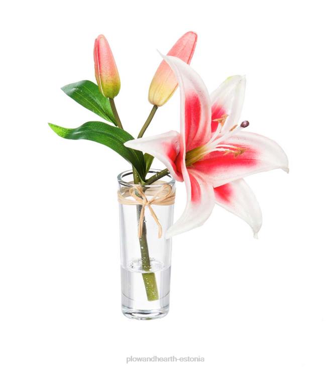 majatarbed 820L2361 näeb ehtne välja tundub tõelise tähevaatleja liiliad, komplektis 3 Plow & Hearth