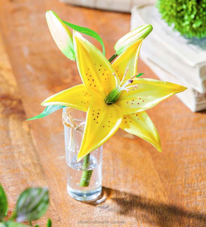 majatarbed 820L2361 näeb ehtne välja tundub tõelise tähevaatleja liiliad, komplektis 3 Plow & Hearth