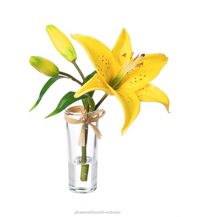 majatarbed 820L2361 näeb ehtne välja tundub tõelise tähevaatleja liiliad, komplektis 3 Plow & Hearth