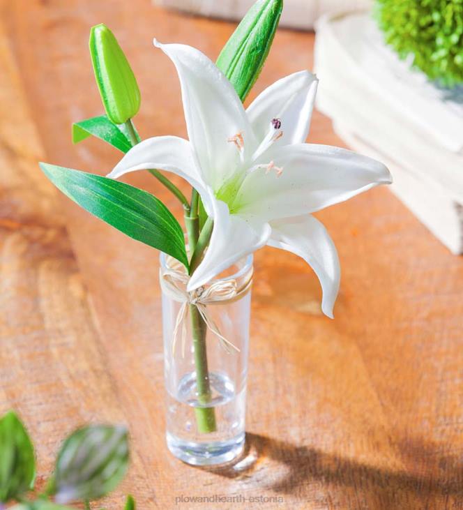 majatarbed 820L2361 näeb ehtne välja tundub tõelise tähevaatleja liiliad, komplektis 3 Plow & Hearth