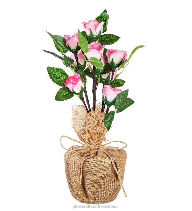 majatarbed 820L2408 valgustatud roosikimbu lauakaunistus Plow & Hearth