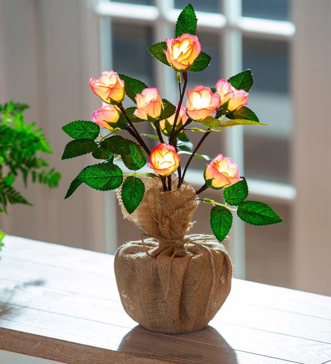 majatarbed 820L2408 valgustatud roosikimbu lauakaunistus Plow & Hearth