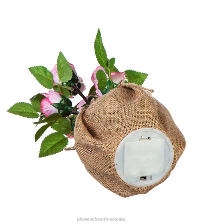 majatarbed 820L2408 valgustatud roosikimbu lauakaunistus Plow & Hearth