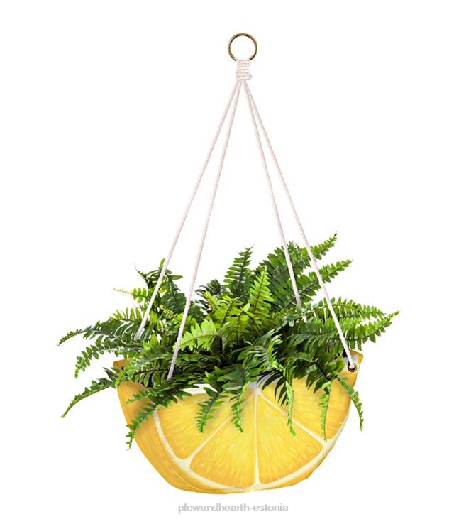 majatarbed 820L2439 tsitrusviljadest rippuvad riidest istutusmasinad, komplektis 3 Plow & Hearth