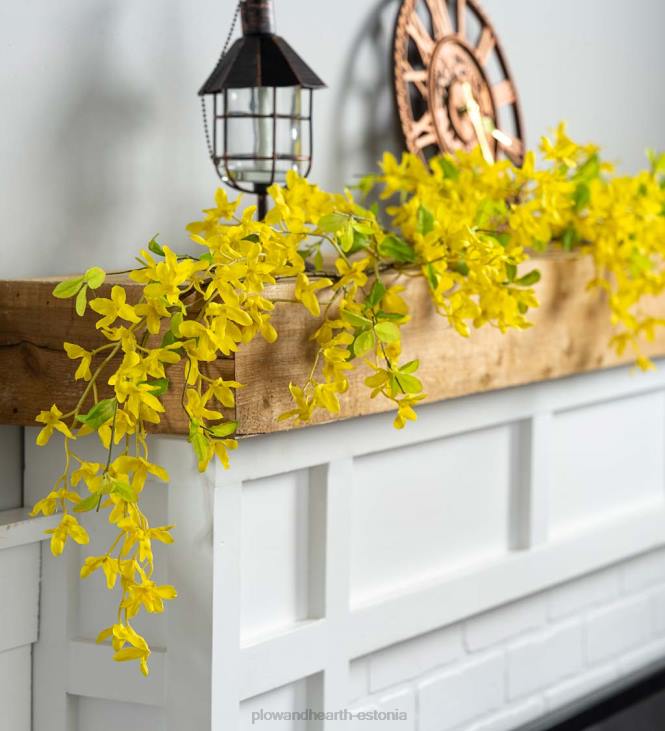 majatarbed 820L2440 forsüütia lillepärja Plow & Hearth