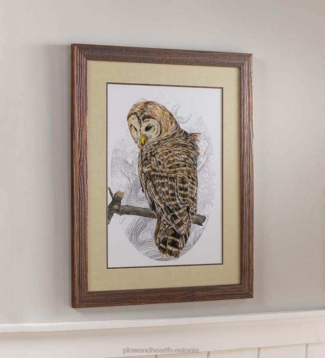 majatarbed 820L2514 võrega öökull ii raamitud seinakunstimaal Plow & Hearth