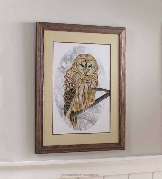 majatarbed 820L2520 võrekull i raamitud seinakunstimaaling Plow & Hearth