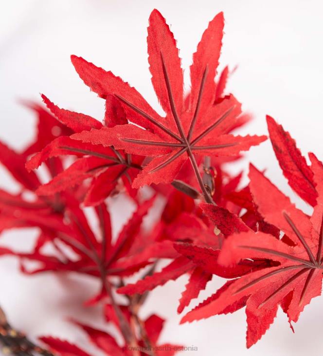 majatarbed 820L1546 sise-/välivalgustusega jaapani vahtralehtede vanik 70 tulega Plow & Hearth